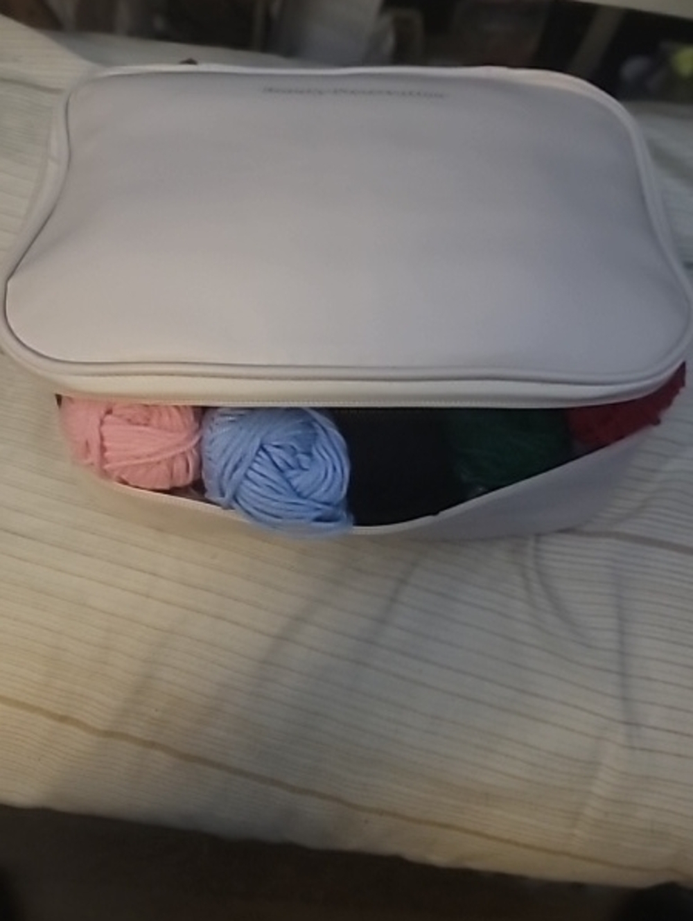 Crochet bag- most everything needed to get started- yarn, needles, accessories